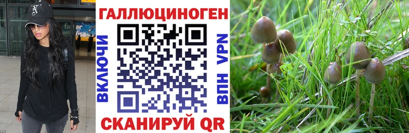 где можно купить   гидра ССЫЛКА  Псилоцибиновые грибы ЛСД  Сертолово 