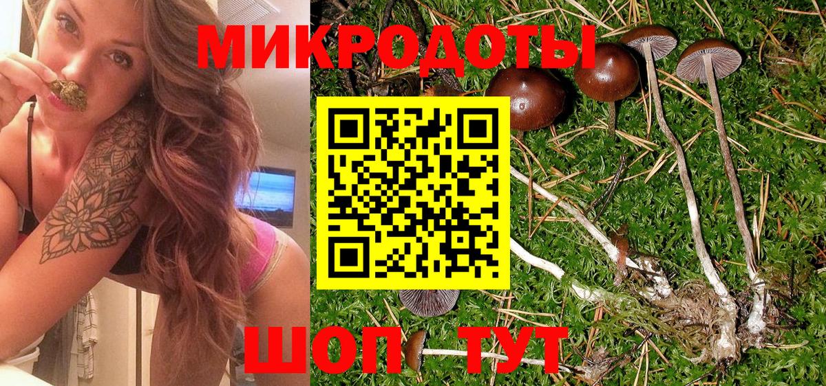 Сертолово  Псилоцибиновые грибы Magic Shrooms  Вход с VPN 